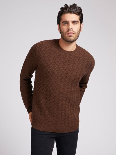 Férfi Guess Rib Knit Pulóverek Barna | HU-975581